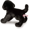 image:imageDouglas Brewster Black Lab Dog Plush Stuffed Animal