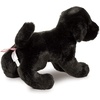 image:imageDouglas Brewster Black Lab Dog Plush Stuffed Animal