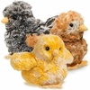 image:imageDouglas Brown Chick Plush Stuffed Animal