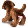image:imageDouglas CC Bean Chocolate Lab Dog Plush Stuffed Animal