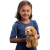 image:imageDouglas Chap Golden Retriever Dog Plush Stuffed Animal