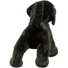image:imageDouglas Chester Black Lab Dog Plush Stuffed Animal