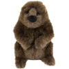 image:imageDouglas Chuckwood Groundhog Woodchuck Plush Stuffed Animal