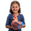 image:imageDouglas Henrietta Blue Lace Hen Chicken Plush Stuffed Animal