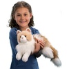 image:imageDouglas Kiki Ragdoll Cat Plush Stuffed Animal