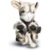 image:imageDouglas Lil Baby Goat Plush Stuffed Animal