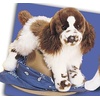 image:imageDouglas Ogilvy Springer Spaniel Dog Plush Stuffed Animal