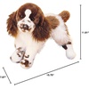 image:imageDouglas Ogilvy Springer Spaniel Dog Plush Stuffed Animal