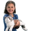 image:imageDouglas Smokey Gray Cat Plush Stuffed Animal  19Inch Soft amp Realistic Gray and White Tabby Plush Toy for Kids Toddlers amp Cat Lovers