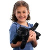 image:imageDouglas Tug Black Cat Plush Stuffed Animal