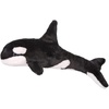 image:imageSPOUT ORCA WHALE 332