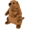 image:imageDouglas Mr G Groundhog Plush Stuffed Animal