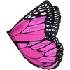 image:imageDouglas Pink Monarch Wings